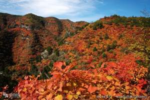 石家庄到仙台山一日游  石家庄周边短途旅游线路