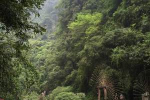 武汉到宜昌三峡跟团旅游 武汉到宜昌峡旅游费用 三峡人家3日游