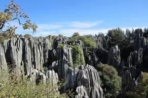 石家庄到云南旅游 昆明、大理、丽江、版纳四飞八日游