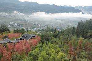 石家庄到湖北恩施旅游团 恩施 神农架旅游火车9日游